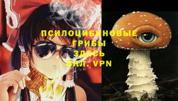 COCAINE Абаза