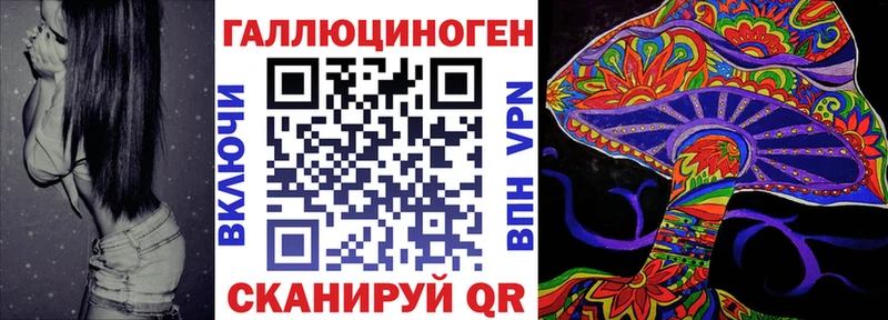где найти наркотики  Щёлкино  Псилоцибиновые грибы GOLDEN TEACHER 
